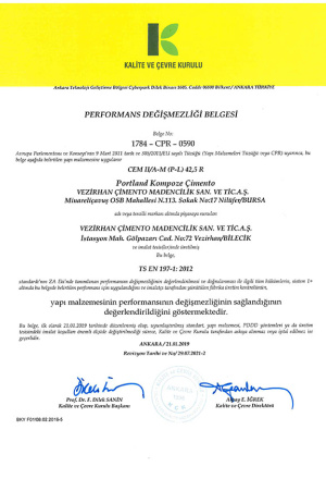 CEM II A-M (P-L) 42,5 R-tur